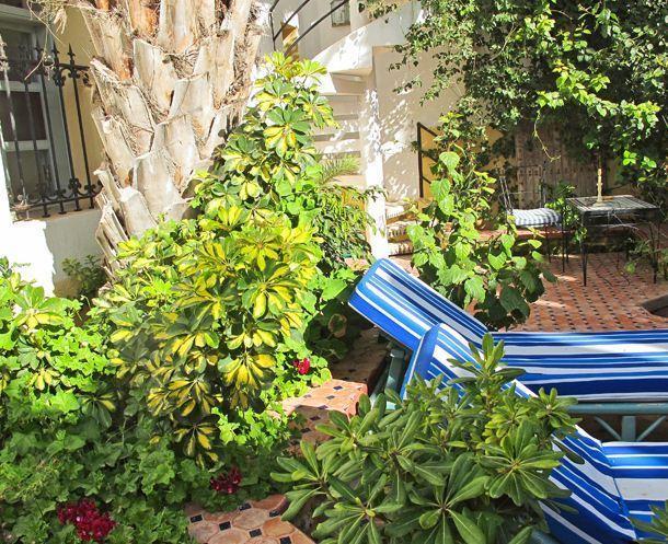 Maison Des Palmiers Essaouira Exterior photo